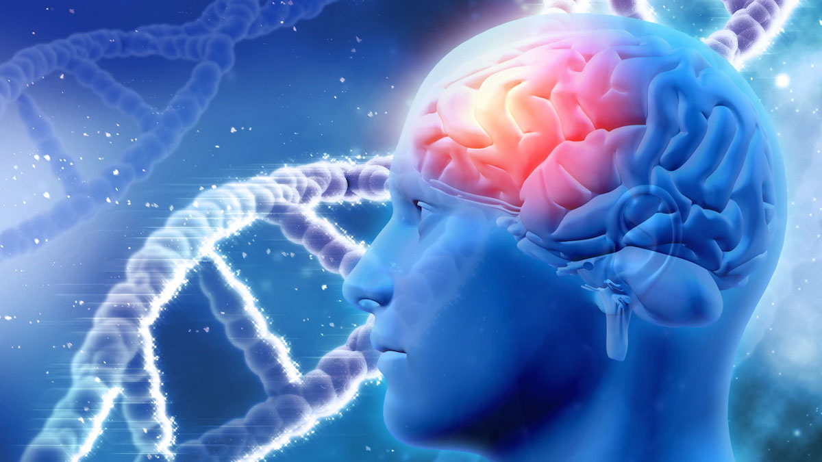 Summer and stroke: Is There Any Connection Between Them? 