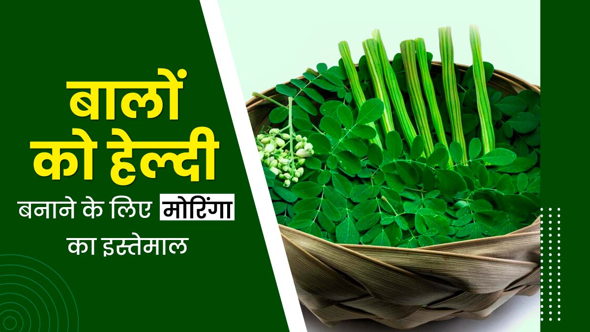 बालों की ग्रोथ बढ़ाने में मदद कर सकता है मोरिंगा (सहजन), जानें इस्तेमाल का तरीका