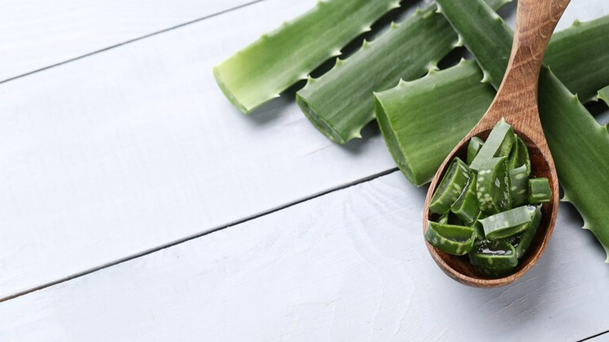 Aloe Vera Beauty Hacks to Try This Summer