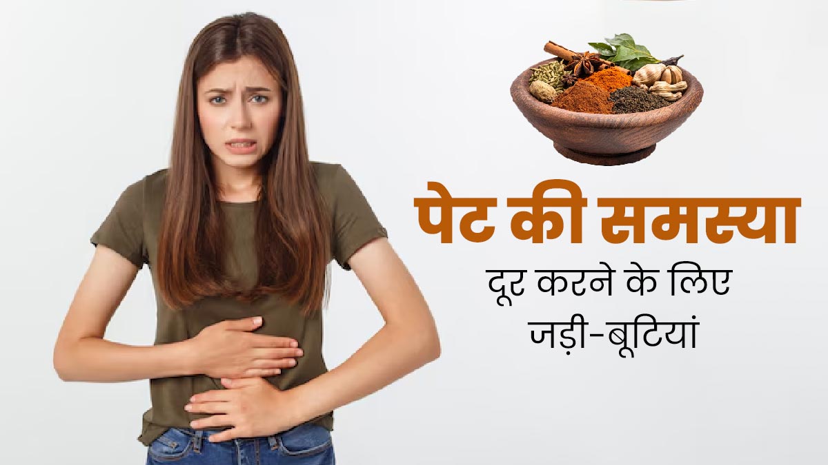 पेट से जुड़ी समस्याओं से बचने के लिए करें इन 5 जड़ी-बूटियों का इस्तेमाल, गैस की समस्या भी होगी दूर