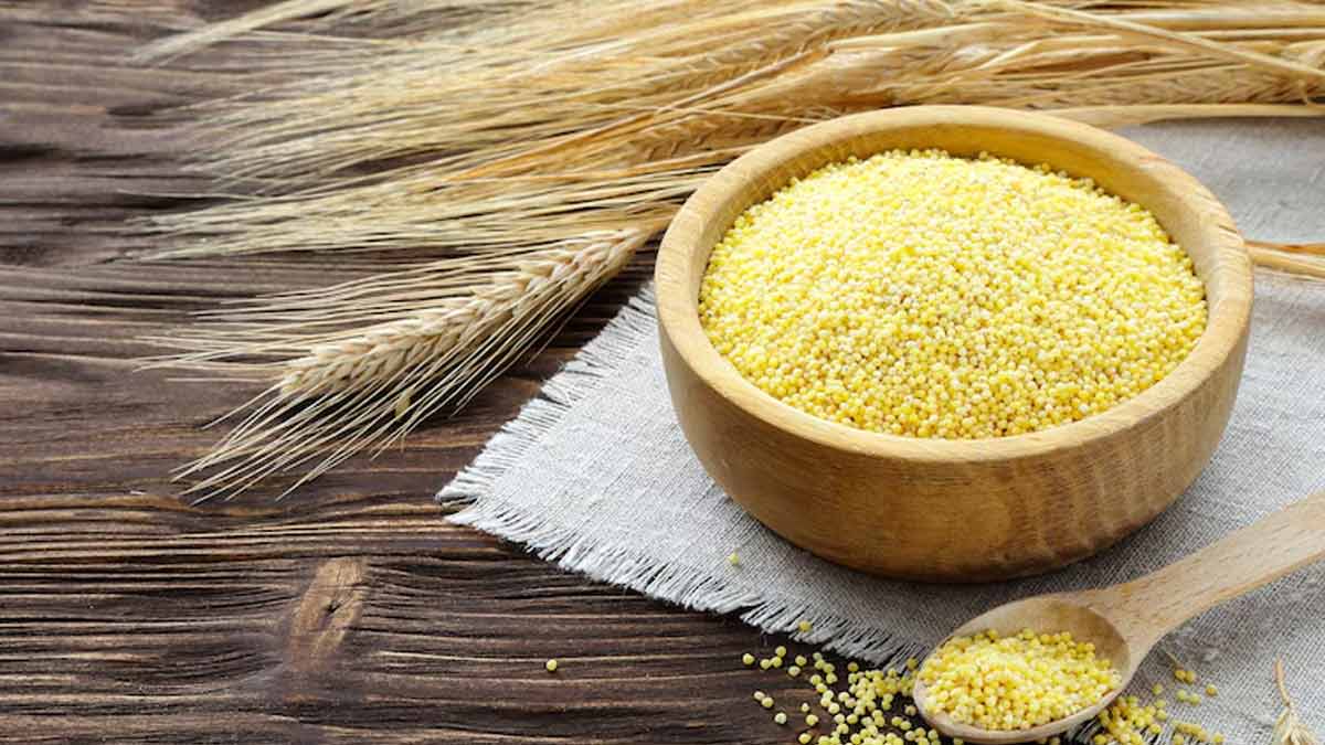 वजन घटाने से स्किन को ग्लोइंग बनाने तक में मदद करता है कंगनी का अनाज, जानें इसके अन्य फायदे