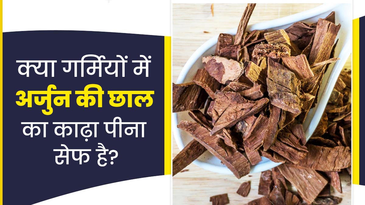  क्या गर्मियों में अर्जुन की छाल का काढ़ा पी सकते हैं? एक्सपर्ट से जानें
