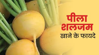 स्वाद और सेहत का खजाना है पीला शलजम, जानें इसके 5 फायदे