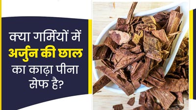  क्या गर्मियों में अर्जुन की छाल का काढ़ा पी सकते हैं? एक्सपर्ट से जानें