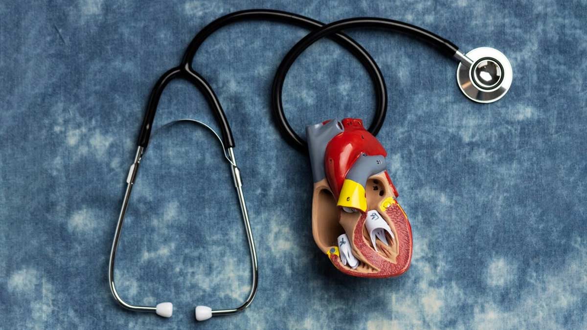 What Are The 10 Causes Of Heart Disease?