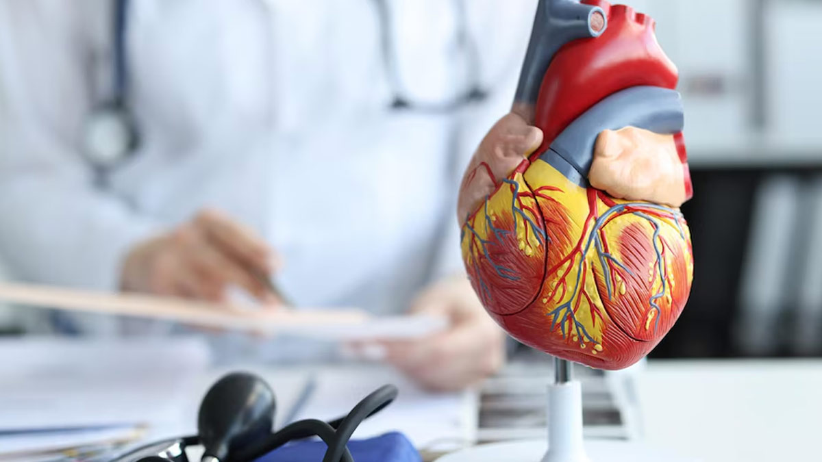 What Are 5 Symptoms Of Heart Disease? 