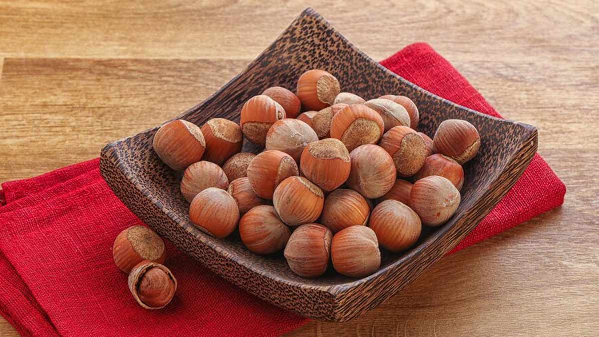 बालों और त्वचा के लिए बेहद फायदेमंद होते हैं हेजलनट्स, एक्सपर्ट से जानें फायदे 