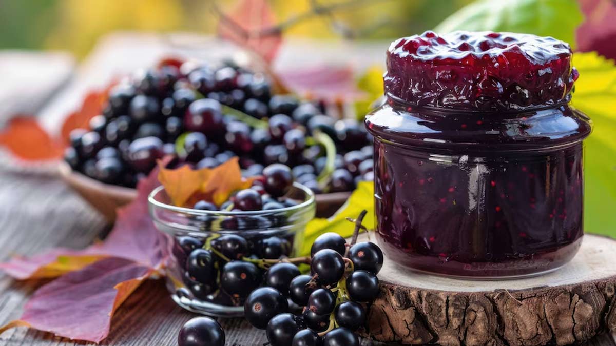 Is It Healthy To Eat Chokeberry? Read On To Know 