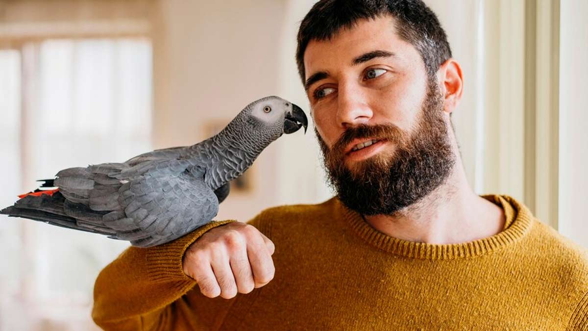 Bird Flu In Humans: Is It Possible?