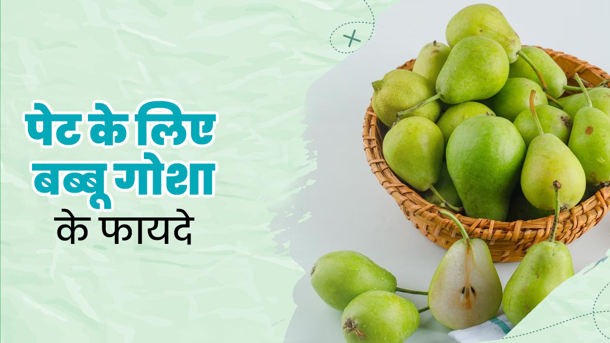 पाचन के लिए बेहद फायदेमंद होता है बब्बूगोशा, डाइट में जरूर करें शामिल