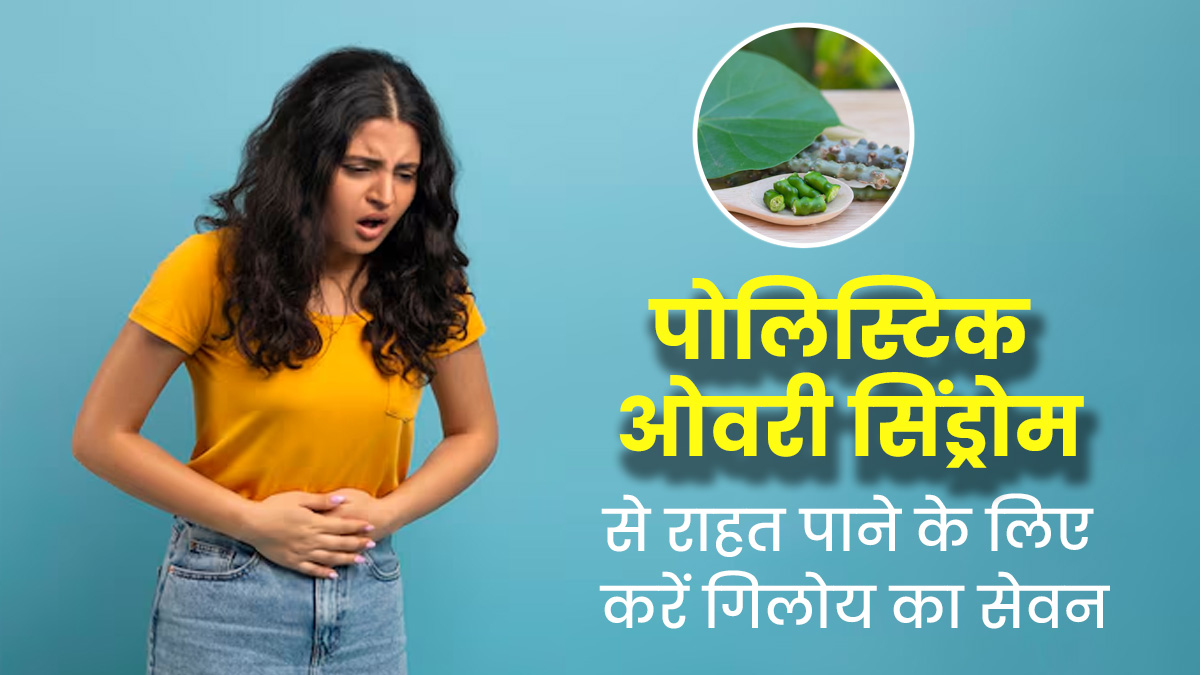 पीसीओएस से पीड़ित महिलाएं जरूर करें गिलोय का सेवन, लक्षणों से मिलेगी राहत 
