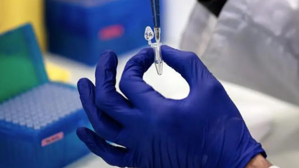 क्या है Oropouche Virus? जिससे ब्राजील में हुई 2 लोगों की मौत,जानें इस दुर्लभ बीमारी के लक्षण और बचाव के टिप्स