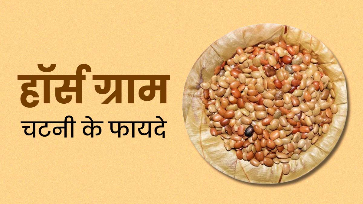 सेहत के लिए बेहद फायदेमंद होती है कुलथी की दाल, डाइट में इस तरह से करें शामिल