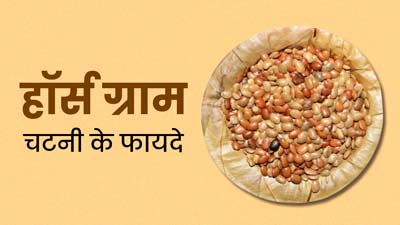 सेहत के लिए बेहद फायदेमंद होती है कुलथी की दाल, डाइट में इस तरह से करें शामिल