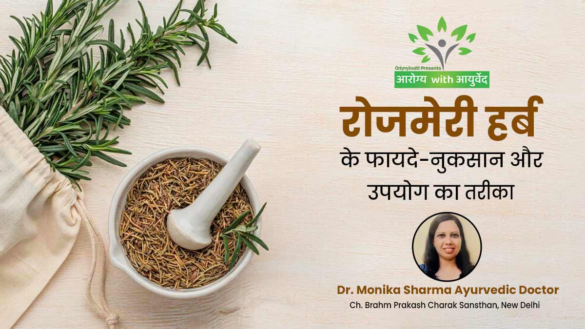 Rosemary Herb Benefits & Side Effects: गुणों से भरपूर होती है रोजमेरी, जानें इस हर्ब के फायदे-नुकसान और उपयोग का तरीका
