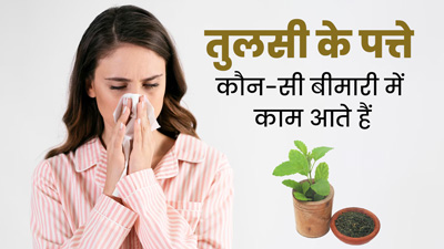 Tulsi Leaves: तुलसी के पत्ते कौन-सी बीमारी में काम आते हैं