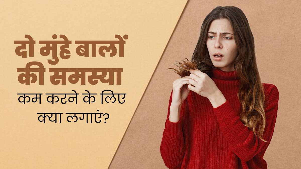  दो मुंहे बालों की समस्या कम करने के लिए लगाएं ये 5 चीजें, चमकदार भी बनेंगे बाल