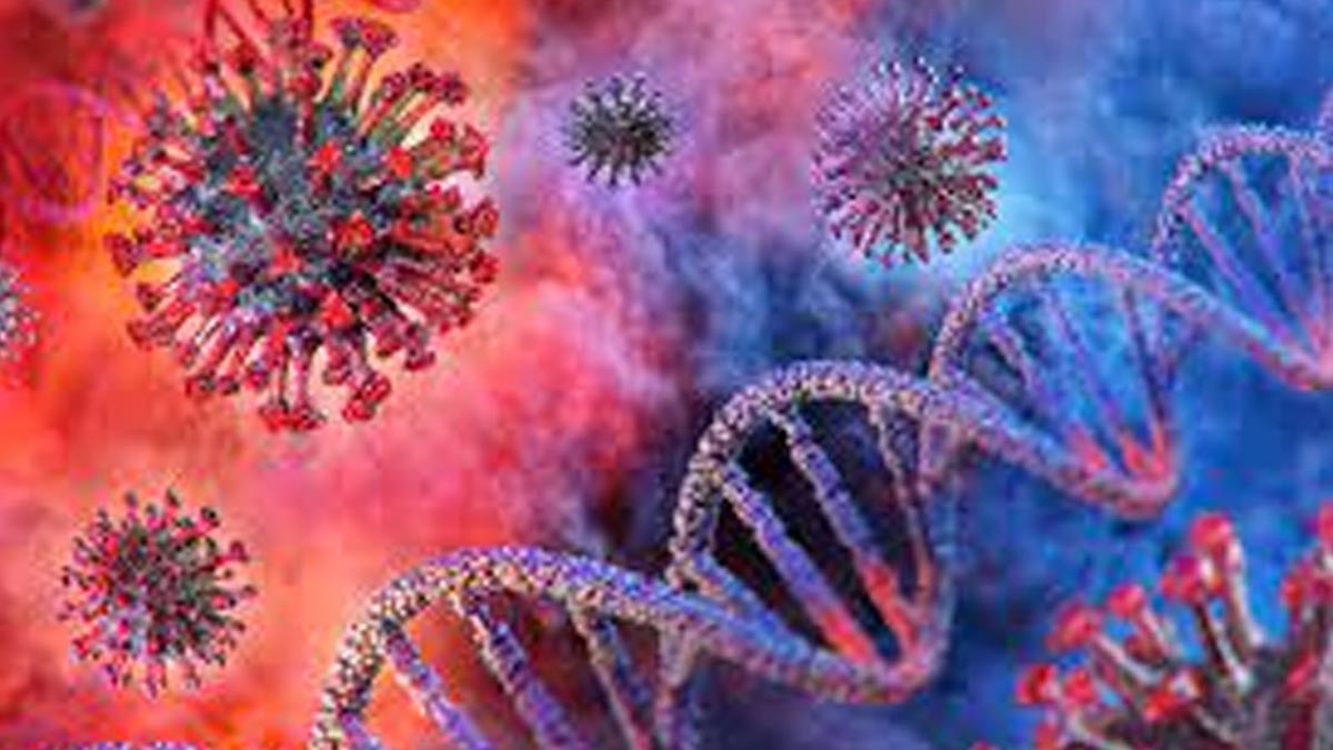 WHO Updates List Of Pathogens That Could Start Another Pandemic