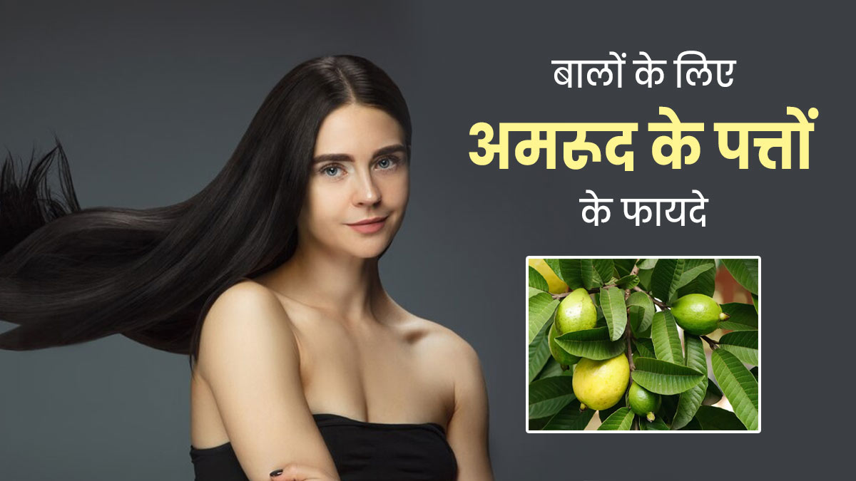 बालों की कई समस्याओं को दूर करते हैं अमरूद के पत्ते, इस तरह से करें इस्तेमाल