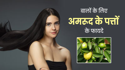 बालों की कई समस्याओं को दूर करते हैं अमरूद के पत्ते, इस तरह से करें इस्तेमाल
