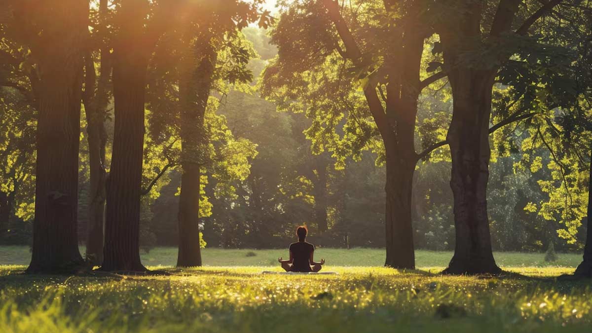 How Do Trees Help In Treating Mental Health And Trauma? Exploring The Benefits Of Ecotherapy