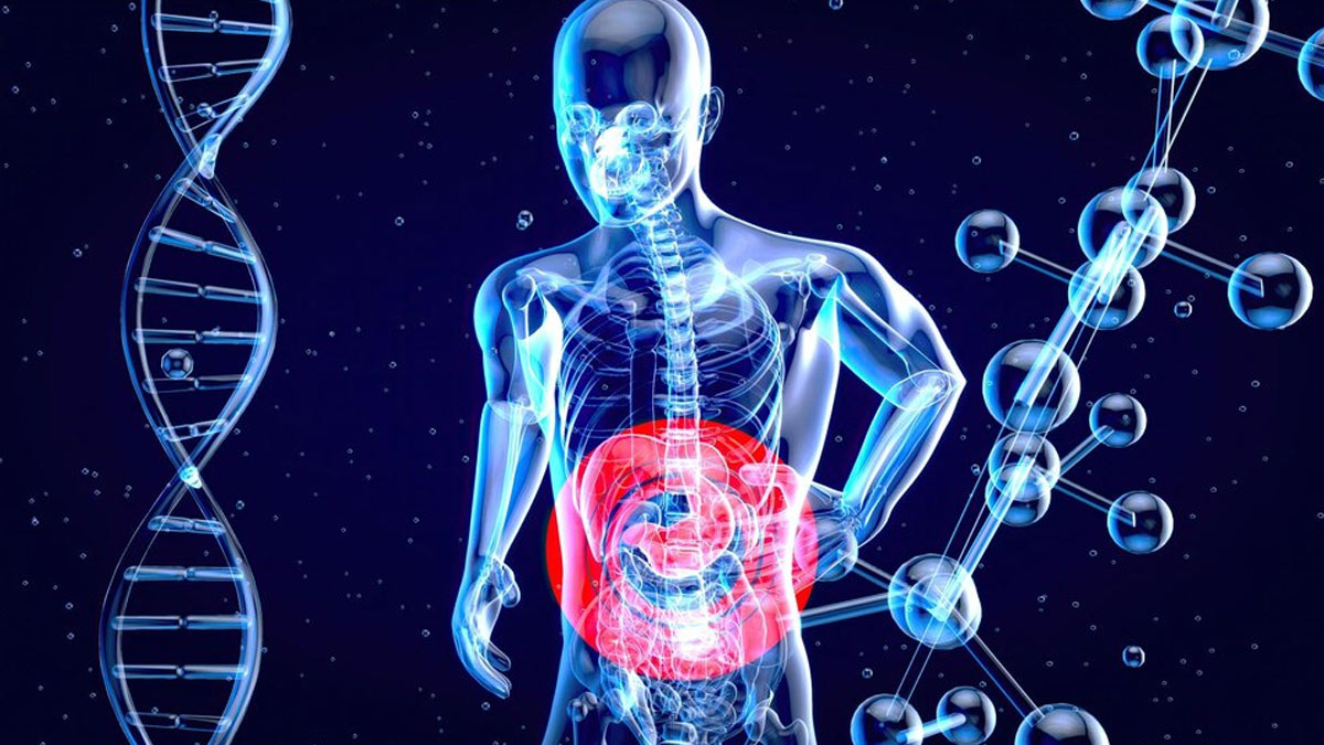 gut-health-issue-inside