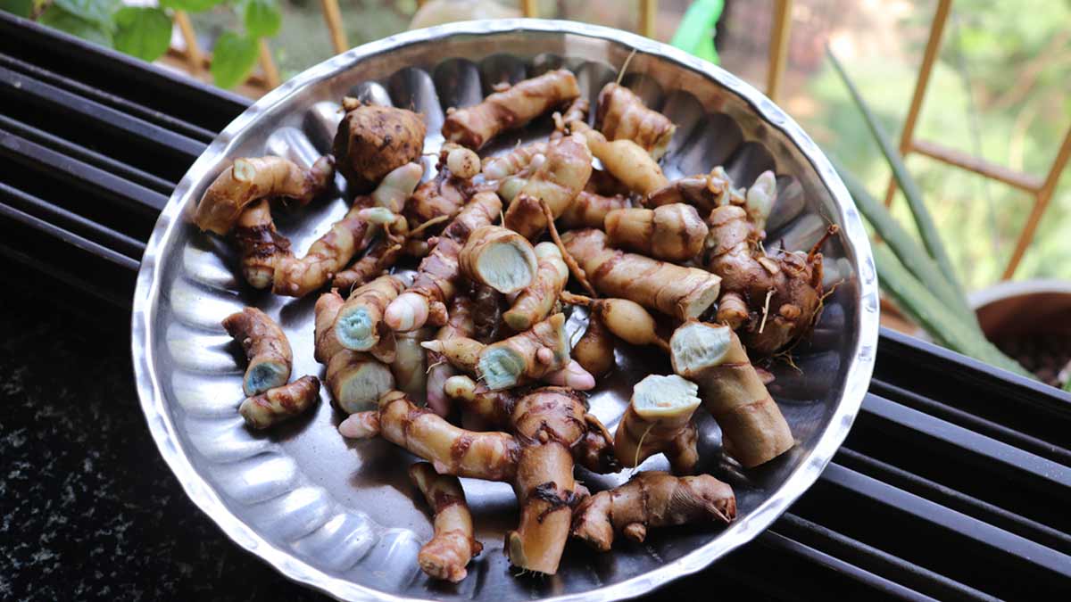 Black Turmeric For Health: Here's How It Can Benefit Your Health