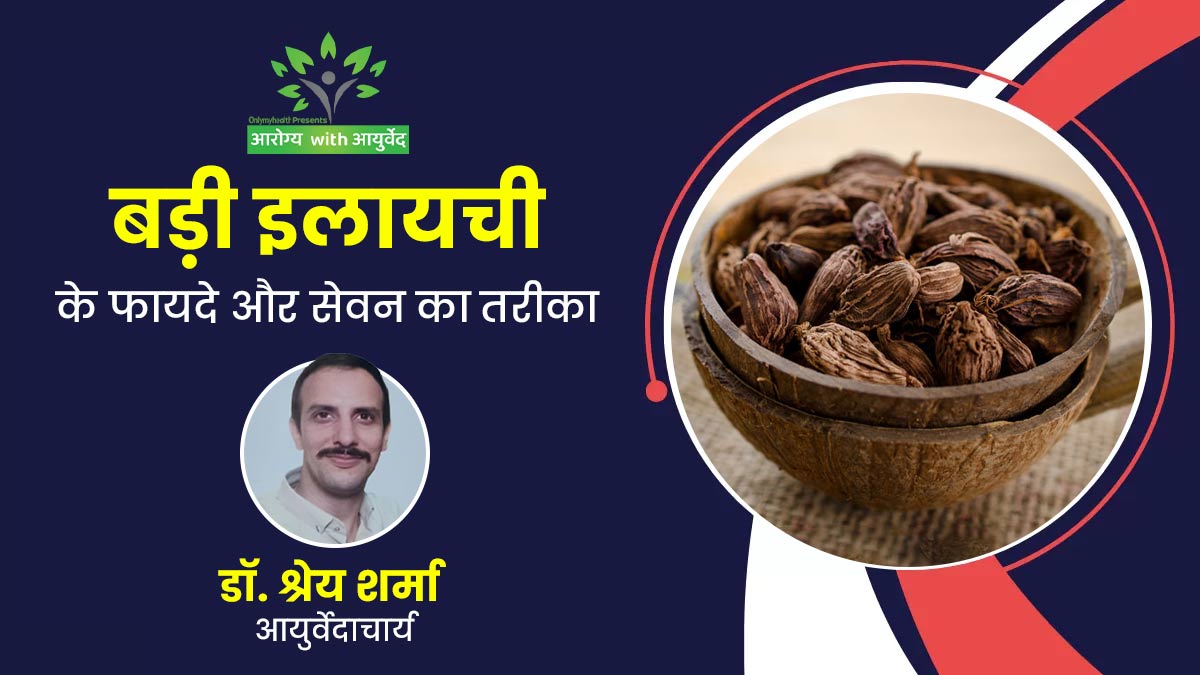 Arogya with Ayurveda: गुणों से भरपूर होती है बड़ी इलायची, जानें इसके फायदे-नुकसान और सेवन का तरीका