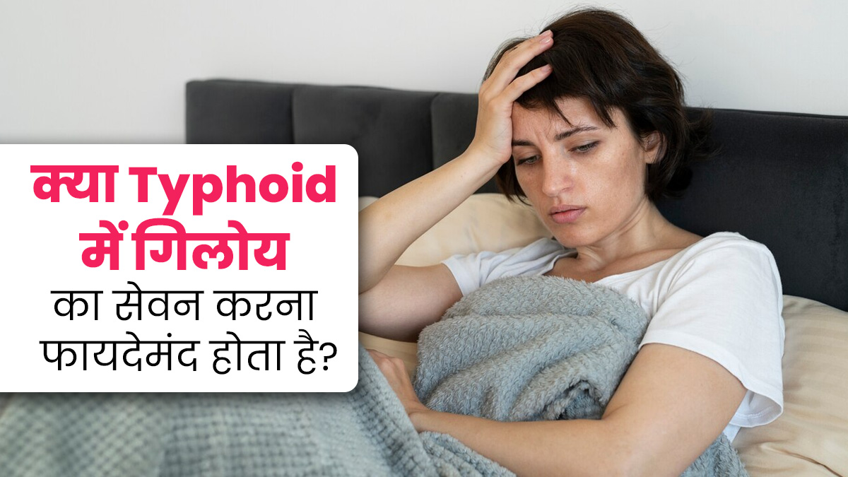 क्या टाइफाइड में गिलोय का सेवन करना फायदेमंद होता है? जानें एक्सपर्ट की राय