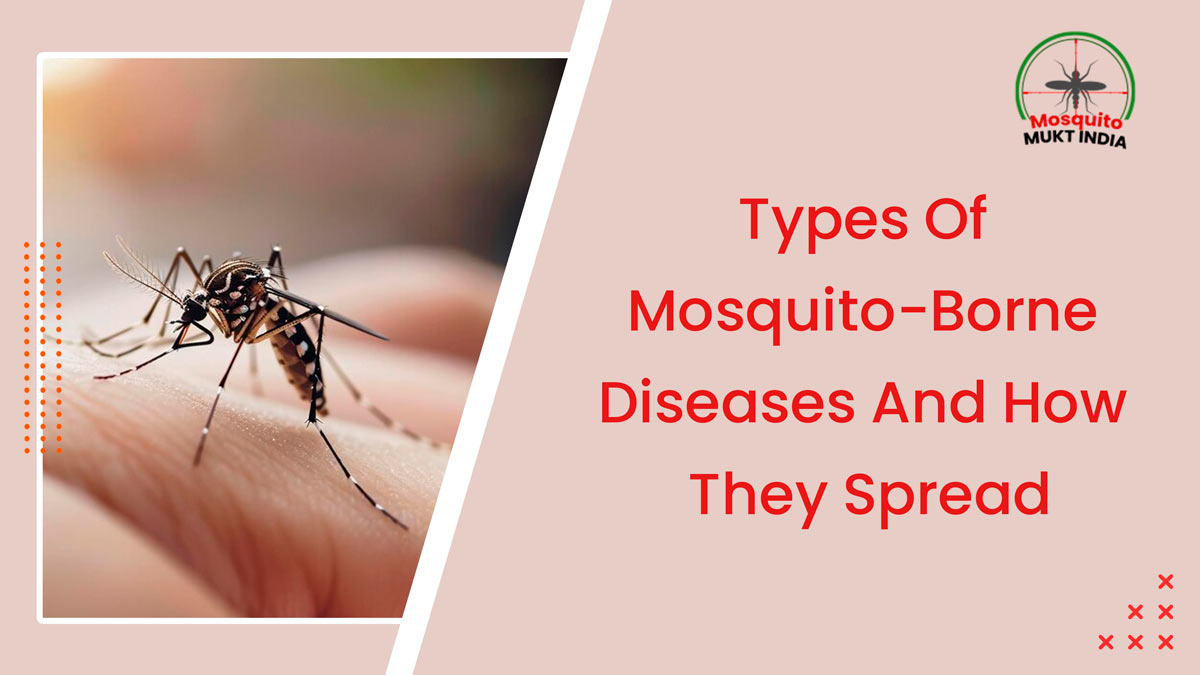 Mosquito-Mukt India: Understanding The Types Of Mosquito-Borne Diseases And How They Spread