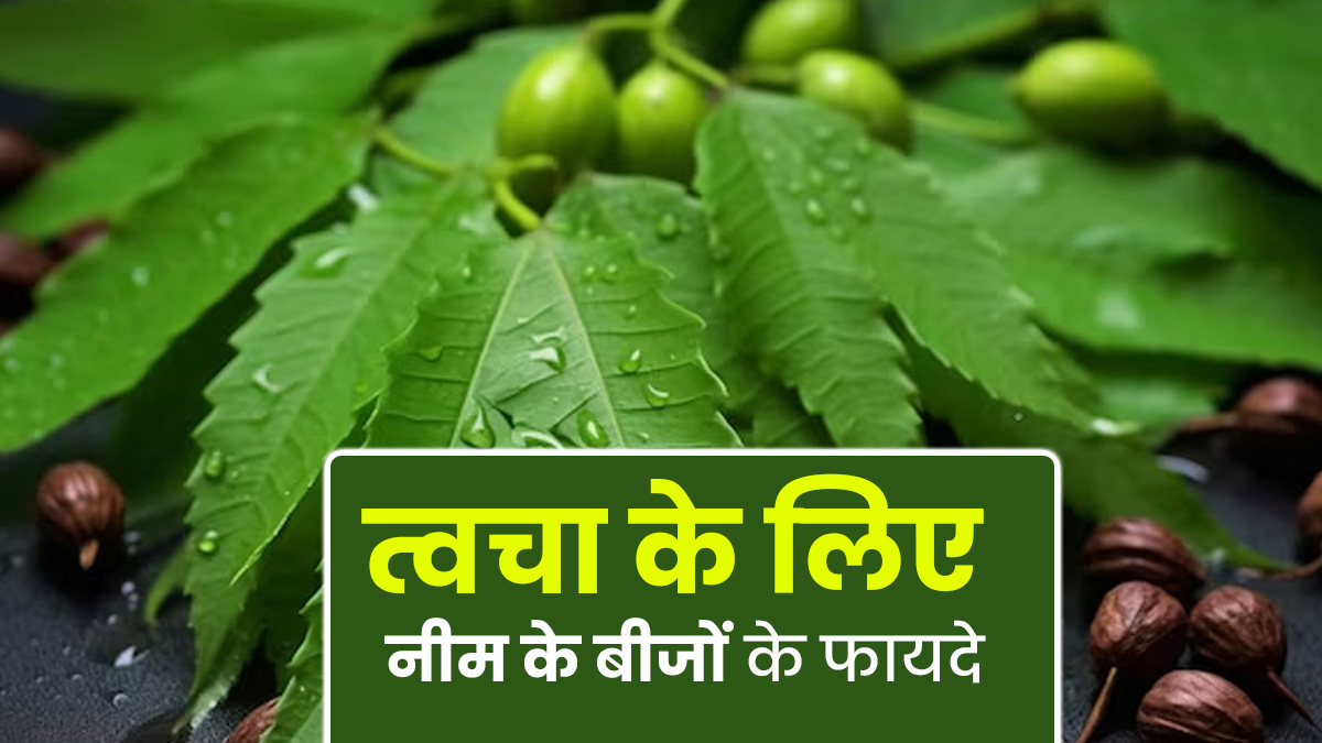त्वचा के लिए लाभदायक हैं नीम के बीज, एक्सपर्ट से जानें फायदे
