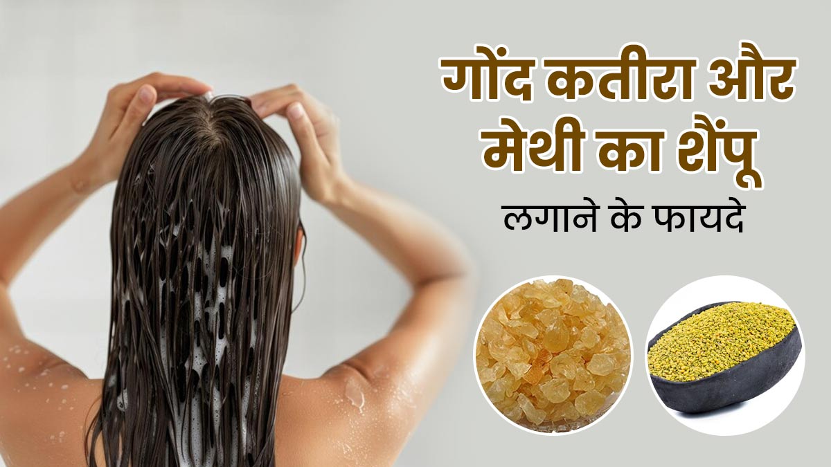 बालों की हर प्रॉब्लम को सॉल्व करेगा गोंद कतीरा और मेथी का शैंपू, मास्टर शेफ अरूणा से जानें रेसिपी और फायदे