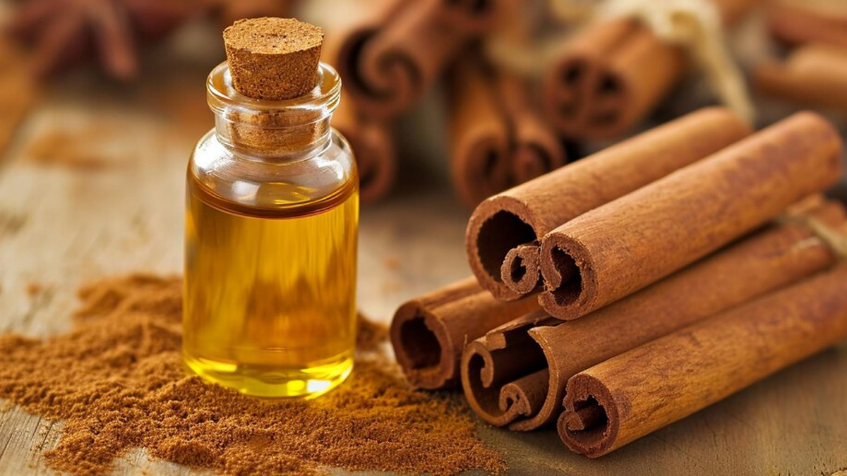 mosquito repellent in hindi