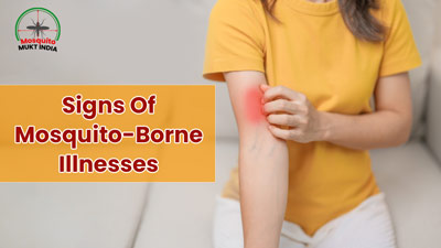 World Mosquito Day 2024: Telltale Signs You're Suffering From A Mosquito-Borne Illness