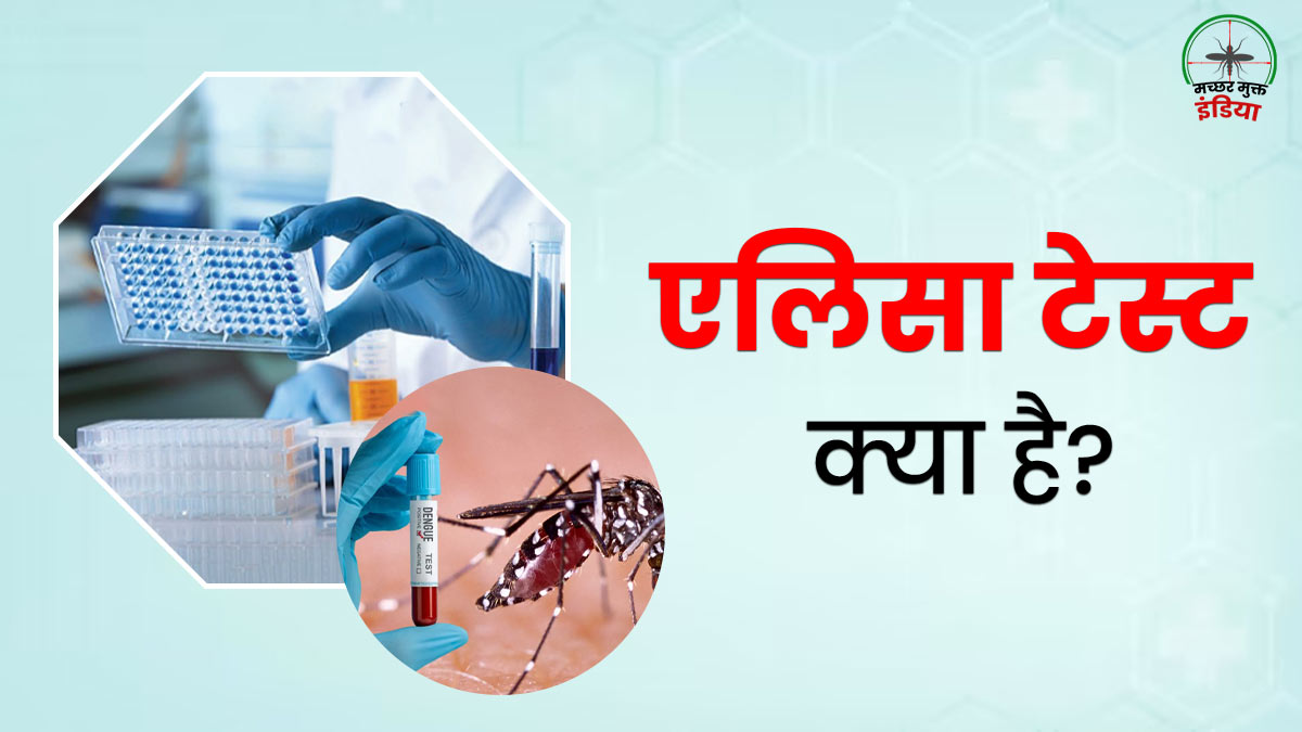 Elisa Test: एलिसा टेस्ट क्या है? जानें डेंगू की जांच के लिए कब पड़ती है इस टेस्ट को करवाने की जरूरत