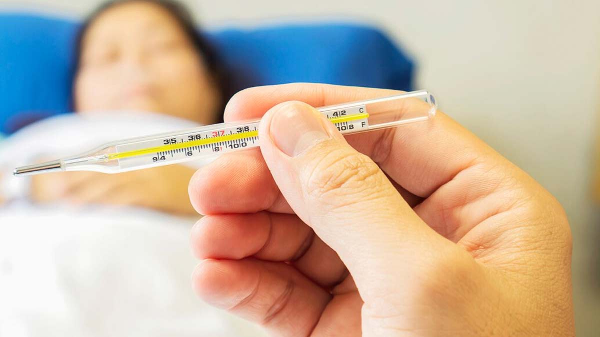 malta fever casues symptoms treatment