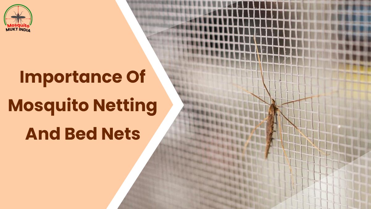 Mosquito-Mukt India: Importance Of Mosquito Netting And Bed Nets