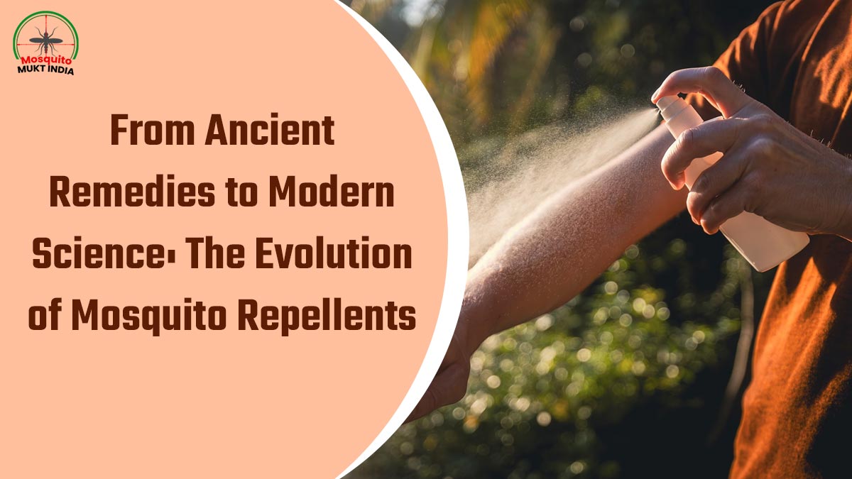 From Ancient Remedies to Modern Science: The Evolution of Mosquito Repellents 