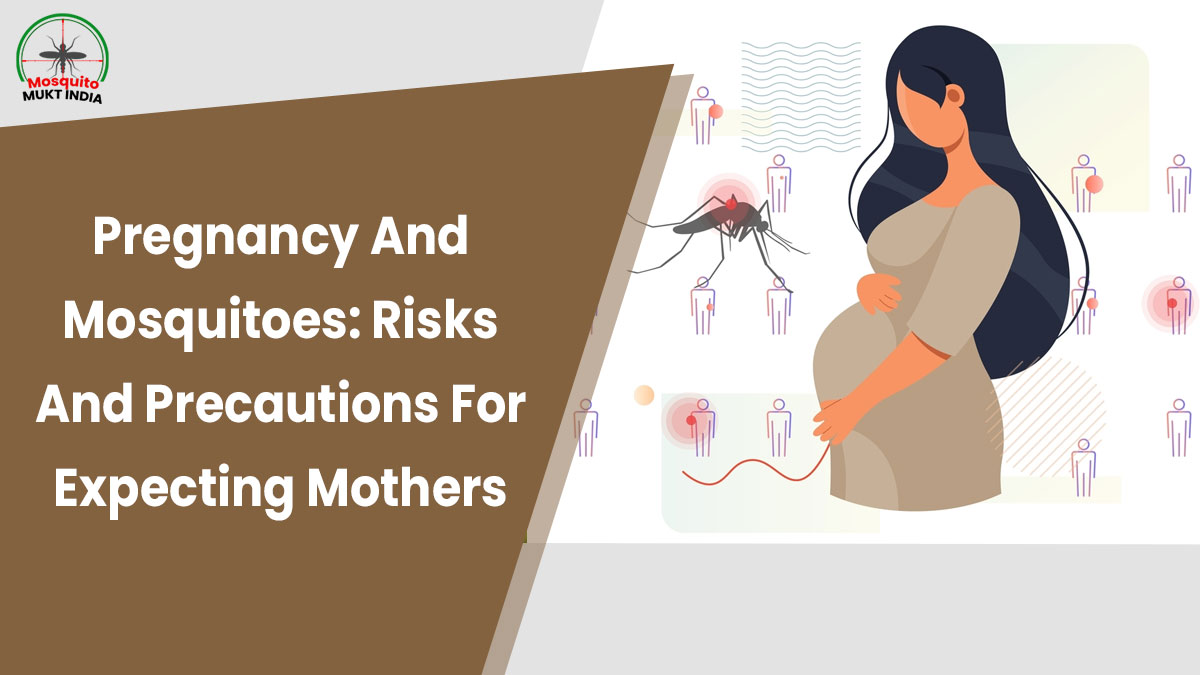 Mosquito-Mukt India: Risks Of Mosquito-Borne Diseases During Pregnancy