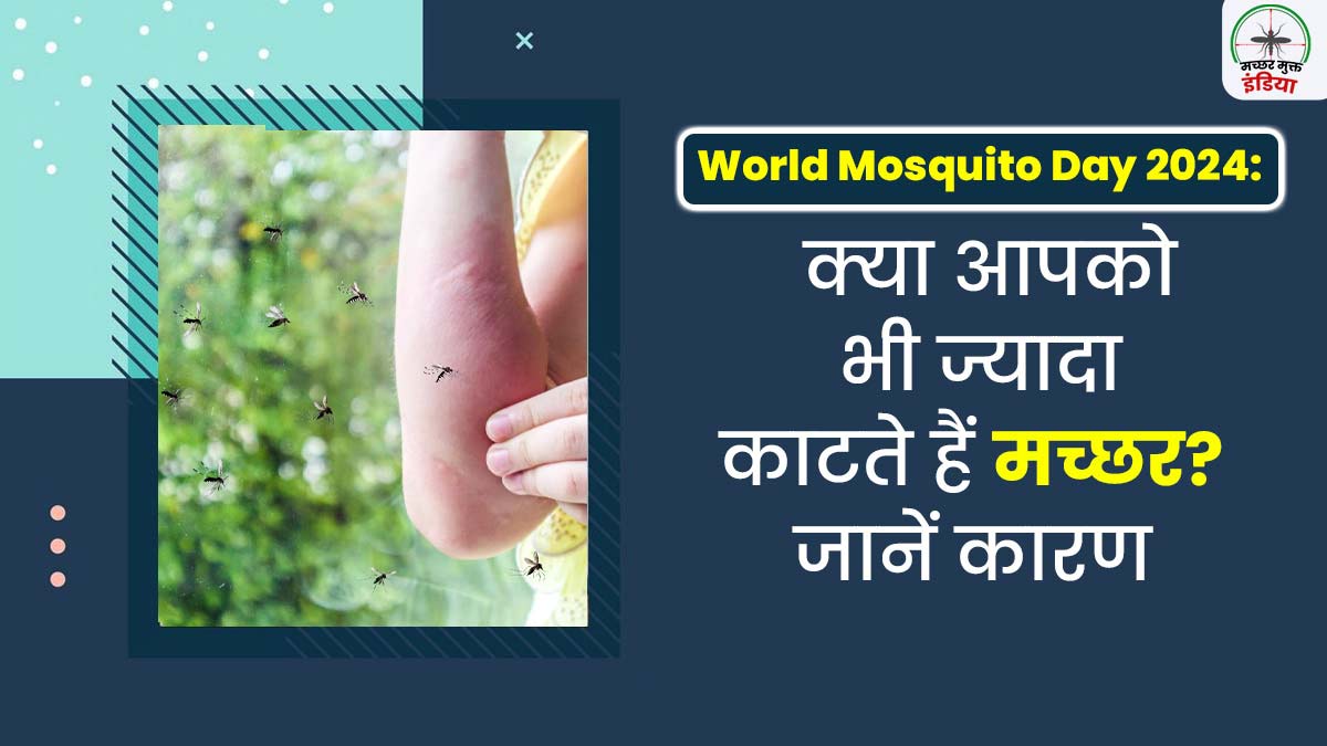 World Mosquito Day 2024: मच्छर कुछ लोगों को अन्य की तुलना में ज्यादा क्यों काटते हैं? डॉक्टर से जानें कारण 