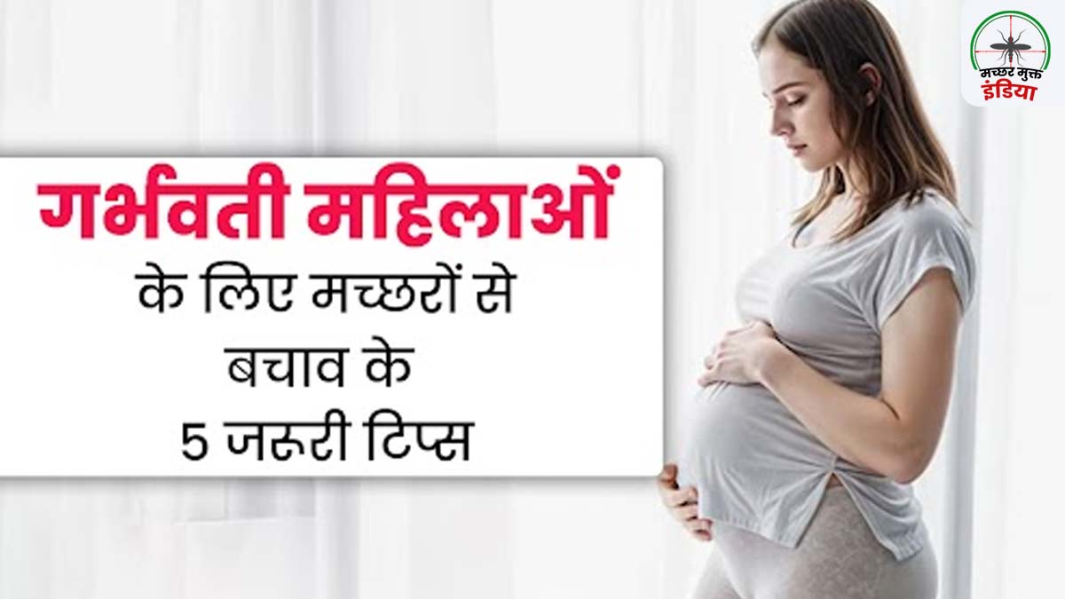 World Mosquito Day 2024: गर्भवती महिलाओं के लिए मच्छरों से बचाव के 5 जरूरी टिप्स, डॉक्टर से जानें