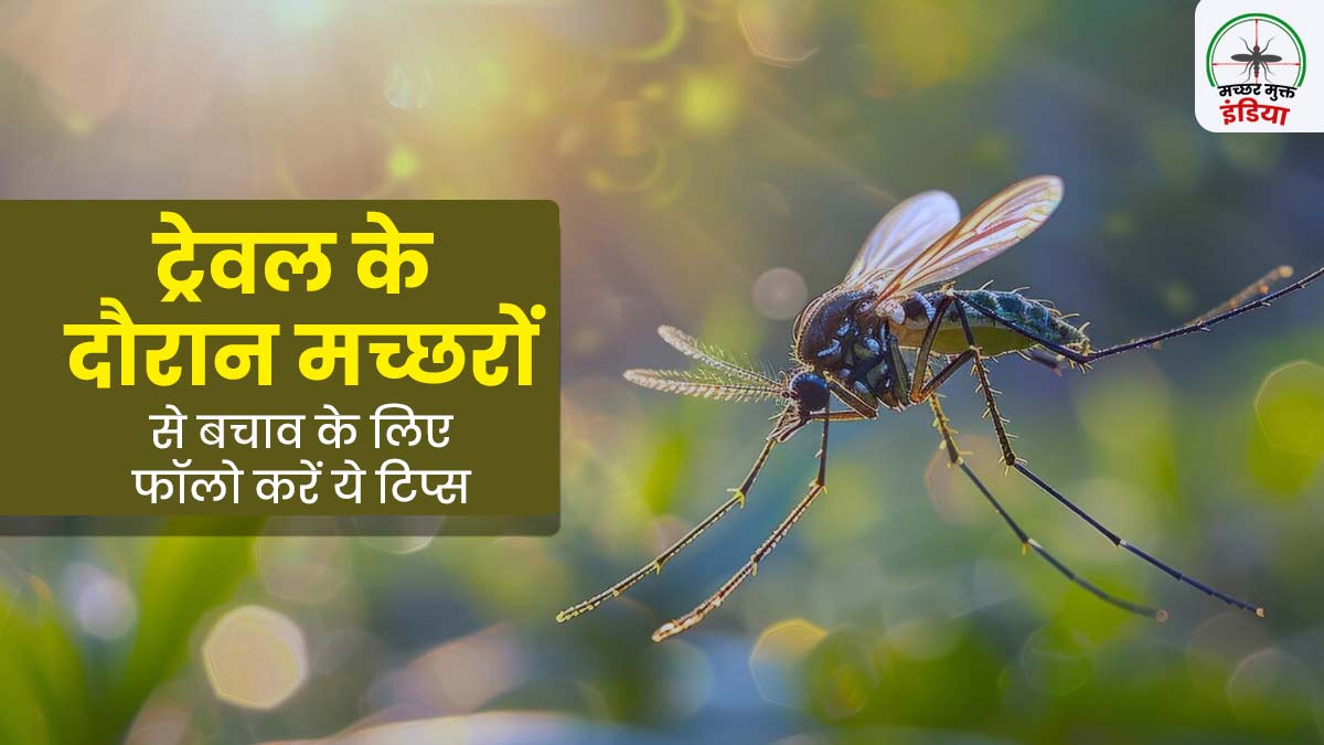 World Mosquito Day 2024: ट्रैवल करते समय मच्छरों से बचाव के लिए फॉलो करें ये टिप्स