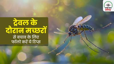 World Mosquito Day 2024: ट्रैवल करते समय मच्छरों से बचाव के लिए फॉलो करें ये टिप्स