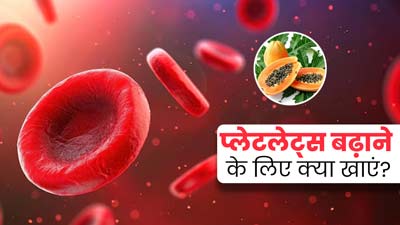 प्लेटलेट्स बढ़ाने के लिए खाएं ये 4 चीजें, नहीं आएगी शरीर में कमजोरी