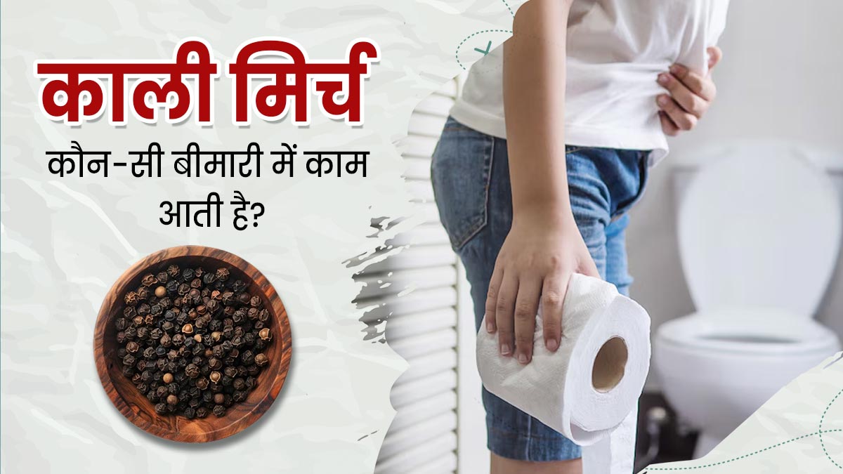 Black Pepper: काली मिर्च कौन-सी बीमारी में काम आती है? जानें आयुर्वेदाचार्य से