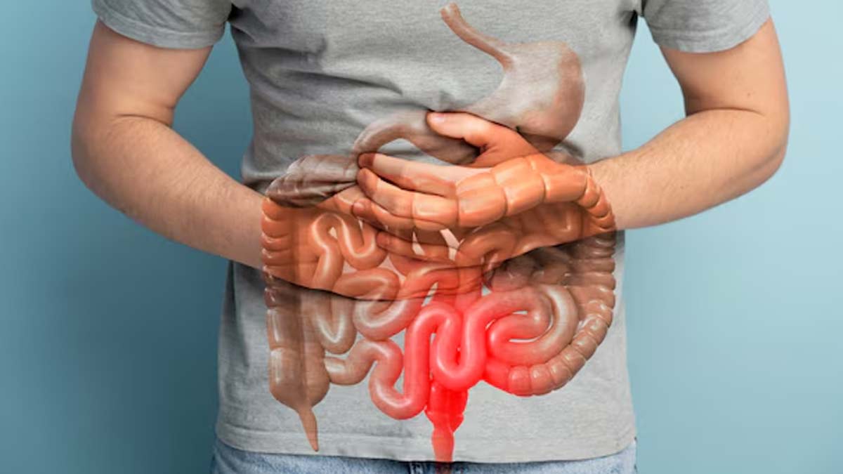 क्‍या अचानक से बढ़ गई हैं पाचन से जुड़ी समस्‍याएं? डॉक्‍टर से जानें इसका कारण 
