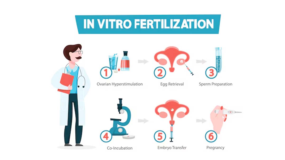 egg retrieval process in ivf procedure