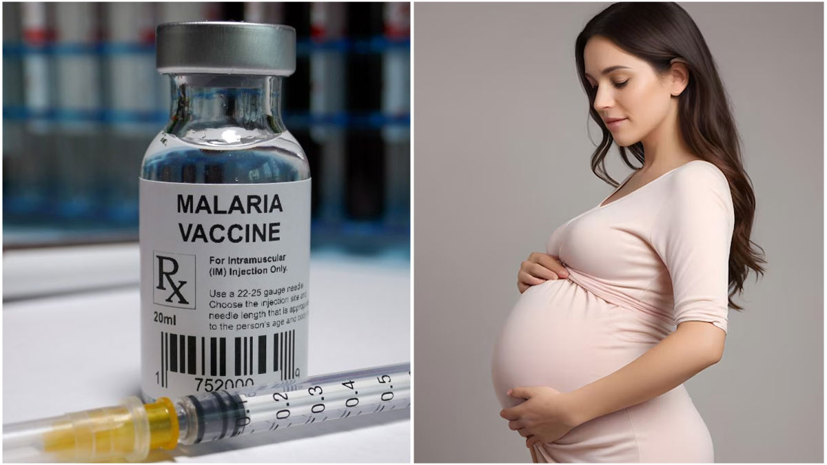 क्या गर्भवती महिलाओं के लिए सुरक्षित है मलेरिया की वैक्सीन? NIH ने ट्रायल में किया मलेरिया से बचाने का दावा  