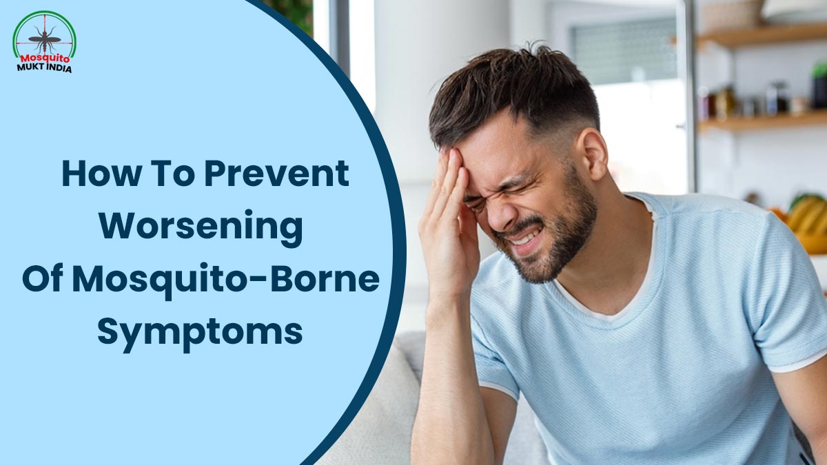 World Mosquito Day 2024: How to Stop Symptoms Of Mosquito-Borne Infections From Getting Worse