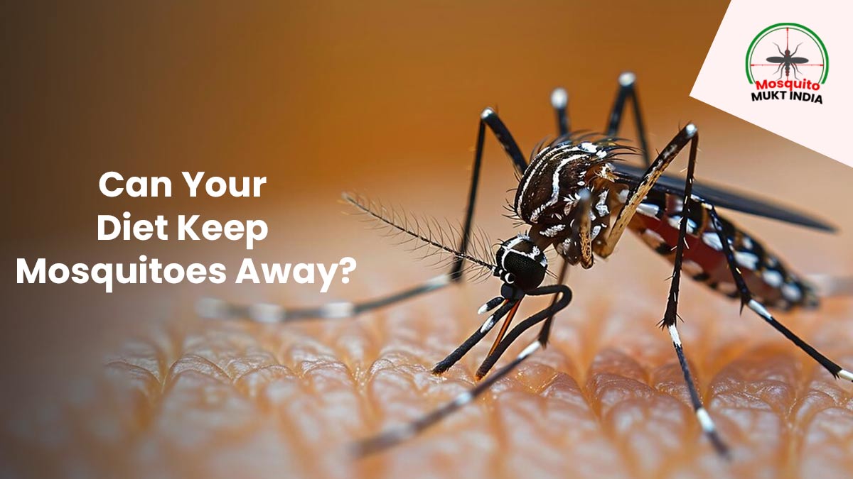 Mosquito-Mukt India: Expert Answers If Your Diet Can Keep Mosquitoes At Bay